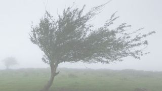 Anunț Meteo de ultimă oră: COD GALBEN pentru 13 județe din țară