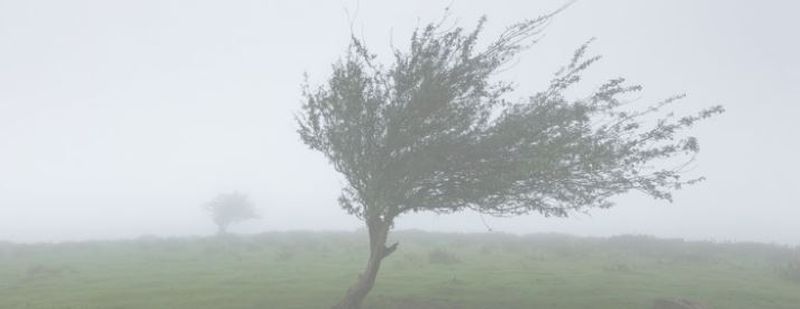 Anunț Meteo de ultimă oră: COD GALBEN pentru 13 județe din țară