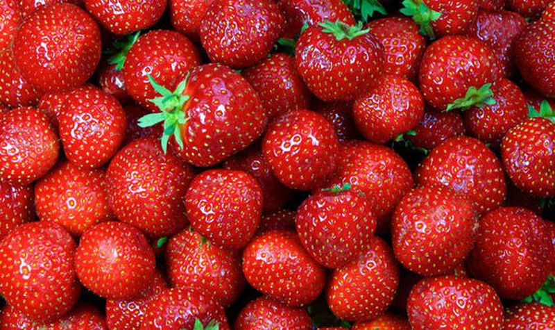 Alimente strict interzise bebelușilor