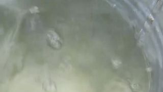 Gestul șocant al unui bărbat. A otrăvit f&acirc;nt&acirc;na de l&acirc;ngă casa fostei soţii ca să o ucidă