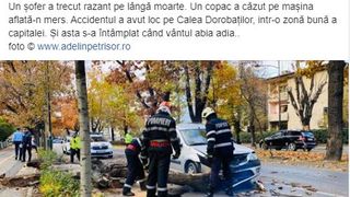 Pom căzut peste o mașină care se afla în mers, pe Calea Dorobanților