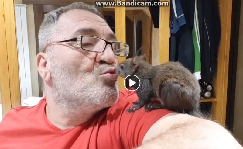 Nelson Mondialu declarație despre Bianca de la Puterea Dragostei: „Să vezi cum se joacă Bianca cu veverița!"