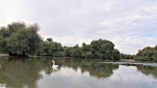 Bărbat la un pas de moarte după ce a căzut în apă în Delta Dunării