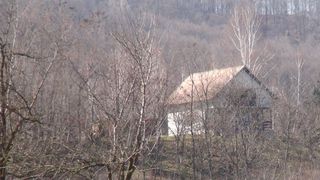 Actorul si-a cumparat tot in Vladesti un teren pe care a construit o vila cocheta