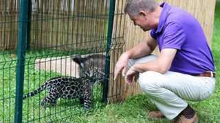 EXCLUSIV! Klaus Iohannis, noul presedinte al Romaniei, isi povesteste viata: "Pot sa repar orice prin casa, prin gradina, prin pivnita. Cand a fost nevoie, mi-am pus singur faianta si gresie in baie!"