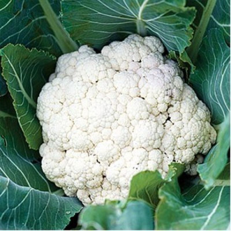 Rețetă colorată de murături. Combinație nemaipomenită: Conopidă cu broccoli și morcovi în oțet