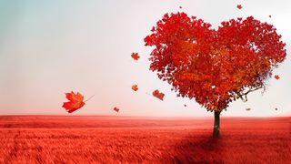 Horoscop. Zodiile care nu vor cunoaște niciodată dragostea adevărată