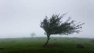 Vreme rea &icirc;n Rom&acirc;nia, &icirc;n următoarele ore. Ce anunță meteorologii