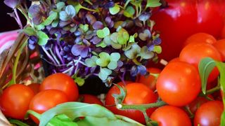 O familie vegană și-a &icirc;nfometat copilul de un an p&acirc;nă a murit