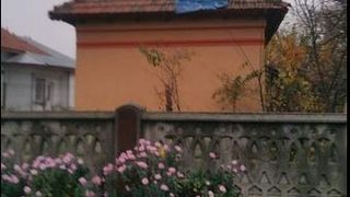 Au vrut să-și apere un vecin de hoți și au fost bătuți cu bestialitate