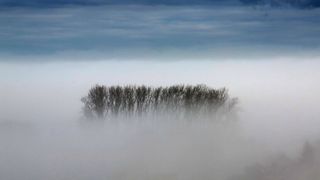 Oameni blocați &icirc;n case, &icirc;n Syndey, din cauza ceții toxice