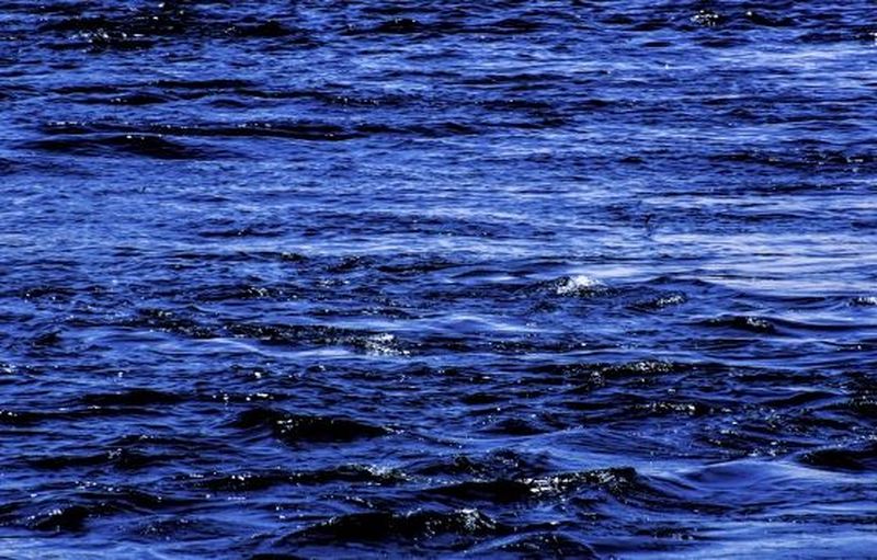 Meteo, miercuri, 20 noiembrie - Vom avea parte de cer senin