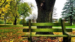 Meteo 20 noiembrie: Vom avea parte de cer senin