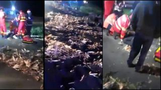Tragedie pe un drum din Brăila. Familie spulberată de un șofer