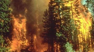 Schimbările climatice - un dezastru fatal asupra țării noastre. Vezi ce ne așteaptă în următorii ani