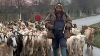 VIDEO | Ziua votului &icirc;n cel mai sărac loc din Rom&acirc;nia: Turismul electoral și căratul de votanți p&acirc;nă &icirc;n pragul secției de votare, &icirc;n floare