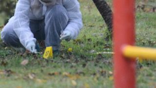 Medicii legiști au stabilit cui aparțin oasele găsite lângă Caracal