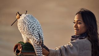 Gwyneth Paltrow, Kate Hudson si Zoe Saldana joaca in productia Dubai: &ldquo;A Story Takes Flight&rdquo;