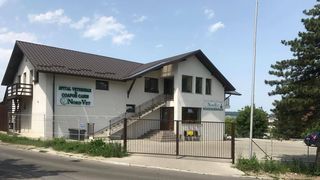 La Clinica veterinară  Nord Vet animalele se tratează și se relaxează, alături de medici veterinari prietenoși