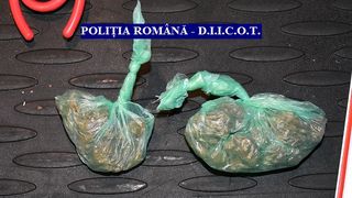 Mașină burdușită cu droguri, depistată de polițiștii din Arad
