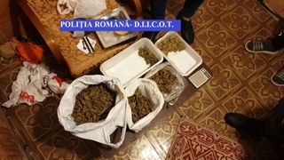 Percheziţii în Buzău şi Bucureşti, la persoane suspectate de trafic de droguri