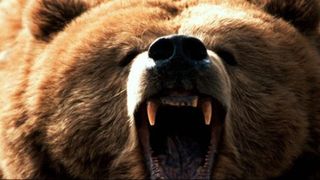 &Icirc;n stare gravă după ce s-a luptat cu ursul pentru a-și salva calul