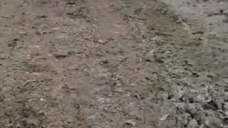 Scene ca &icirc;n Evul Mediu la Giurgiu - un oraș situat la mai puțin de 60 de km de Capitală