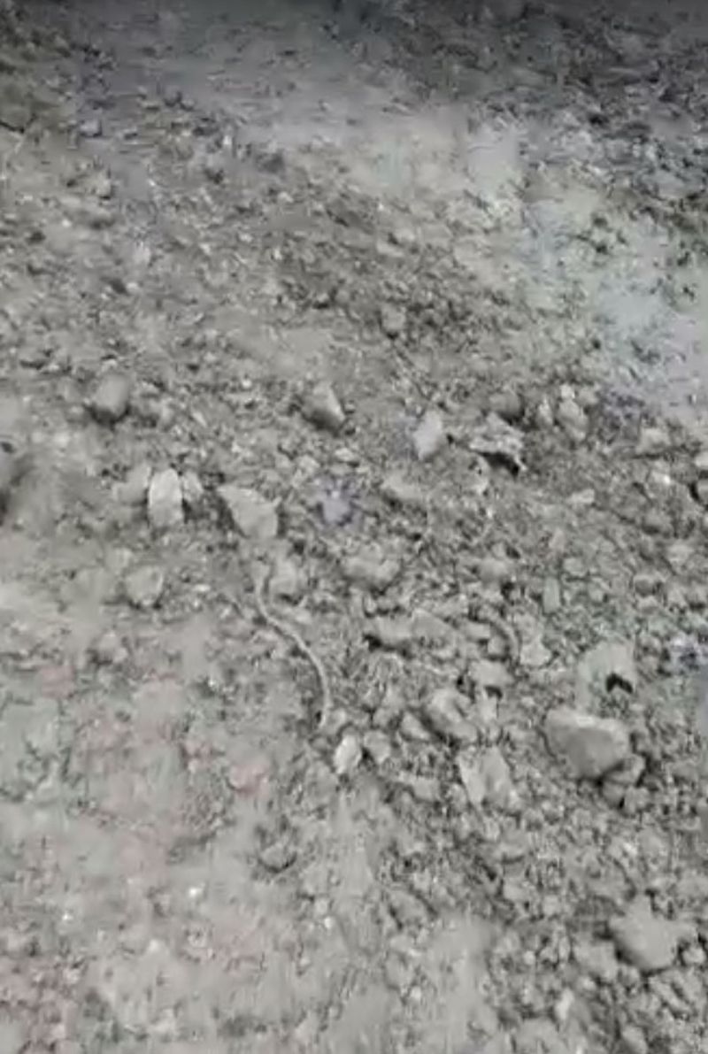 Scene ca în Evul Mediu la Giurgiu - un oraș situat la mai puțin de 60 de km de Capitală