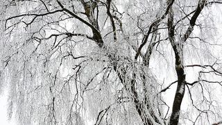 Anunț de ultimă oră din partea ANM. Ninge sau nu de Crăciun?