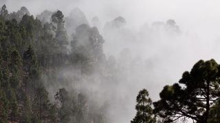 Informații ANM de ultimă oră. Cod galben &icirc;n aproape toată țara