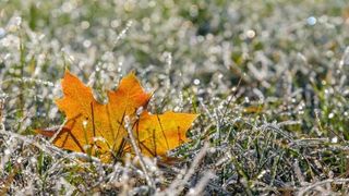 Vești bune! Meteorologii anunţă că &icirc;n următoarele zile temperaturile cresc &icirc;n toate regiunile ţării, inclusiv la munte