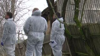 VIDEO | Dubla crimă din Satu Mare. Femeile, ucise pentru 4.000 de euro. Criminalii sunt în libertate