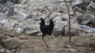 Alertă &icirc;n Rom&acirc;nia după cutremurul produs &icirc;n urmă cu c&acirc;teva minute