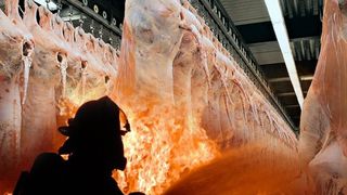 Incendiu devastator la o fabrică de mezeluri, &icirc;n C&acirc;mpia Turzii (VIDEO)