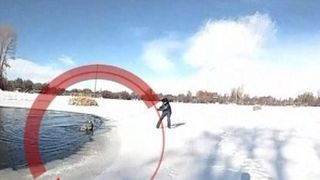 VIDEO | Căprioară salvată de la înec, în ultima clipă. Imaginile sunt emoționante