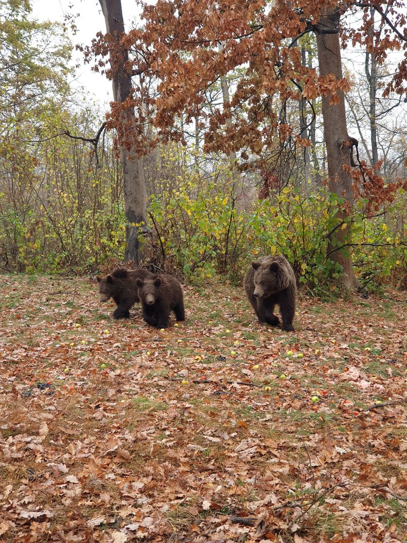 „ROventura”, pe drumuri de munte! #Sâmbătă, de la ora 15:00, la Kanal D