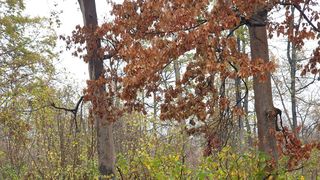 „ROventura”, pe drumuri de munte! #Sâmbătă, de la ora 15:00, la Kanal D