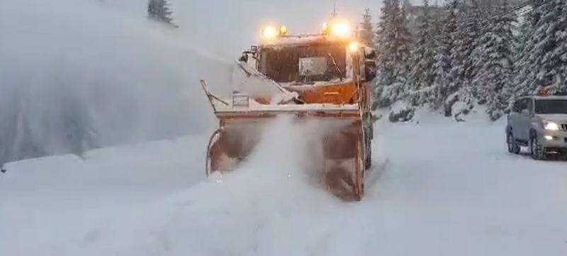 Ninsoare abundentă în România, zăpadă de 20 de centimetri în mai multe județe