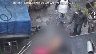 VIDEO | Abator clandestin, descoperit de polițiști &icirc;n curtea unui bărbat din sectorul 2 al Capitalei