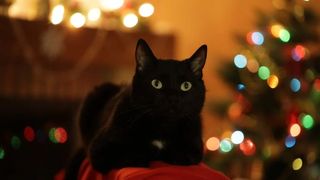 Superstiții de Anul Nou. Ce este bine să faci și ce nu &icirc;n noaptea de Revelion