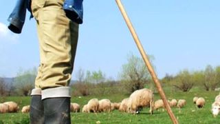 Soarta crudă a unui băiețel de 13 ani din Bacău: a fost v&acirc;ndut ca sclav de bunica lui