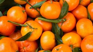 Clementine