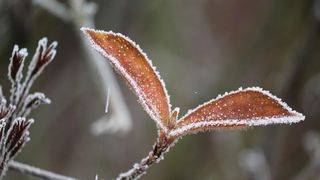 Meteo 21 decembrie 2019. Află cum va fi vremea &icirc;n weekend