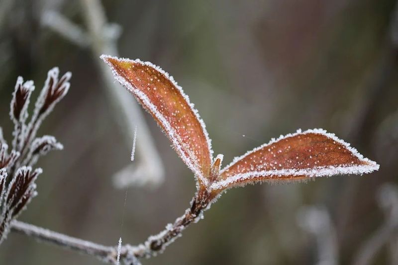 Meteo 21 decembrie 2019. Află cum va fi vremea în weekend