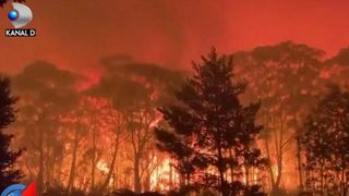VIDEO | Scene apocaliptice &icirc;n Australia. Zeci de case au fost distruse &icirc;n ultimele 24 de ore &icirc;n urma incendiilor devastatoare