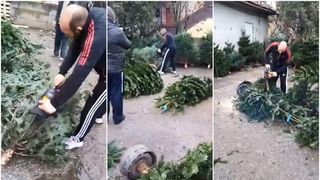 Scene uluitoare &icirc;n Sibiu. Un v&acirc;nzător furios a tăiat cu drujba toţi brazii nev&acirc;nduţi