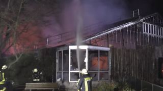 Germania - Zeci de maimuţe au murit &icirc;n urma unui incendiu la grădina zoologică din Krefeld