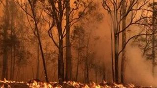 VIDEO | Infern fără sf&acirc;rșit &icirc;n Australia. Mărturia unei rom&acirc;nce din Sidney: &bdquo;Sunt &icirc;ncă zeci de focare&rdquo;