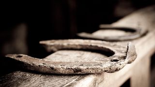 Caz uluitor la Vaslui. Un cal a fost ucis pentru că nu a tras o căruță cu lemne