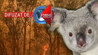 Povestea impresionantă a unui copil de doi. A fost decorat &icirc;n locul tatălui său - un pompier ucis de flăcările din Australia